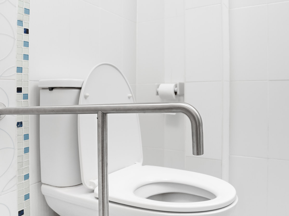 An image of a handicap toilet.