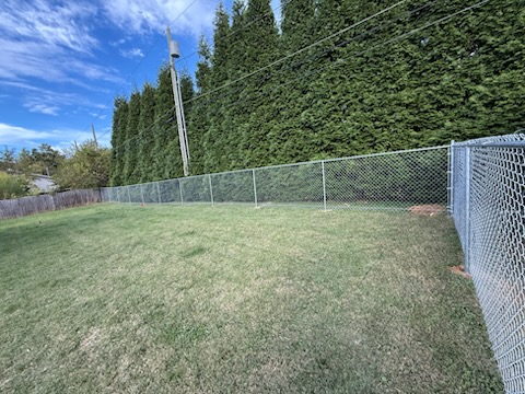 Fence Project